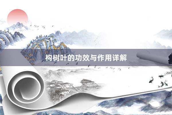 构树叶的功效与作用详解