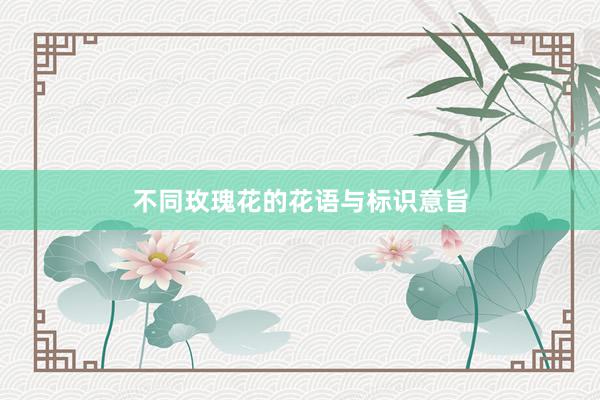 不同玫瑰花的花语与标识意旨