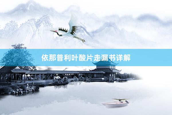依那普利叶酸片走漏书详解